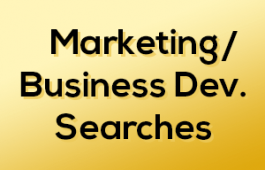 Marketing-Search