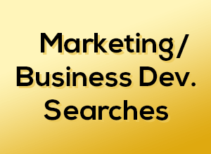 Marketing-Search